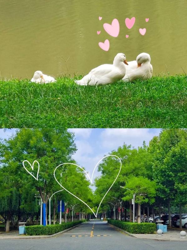 գУ@ӡġ^(gu)Ϧ